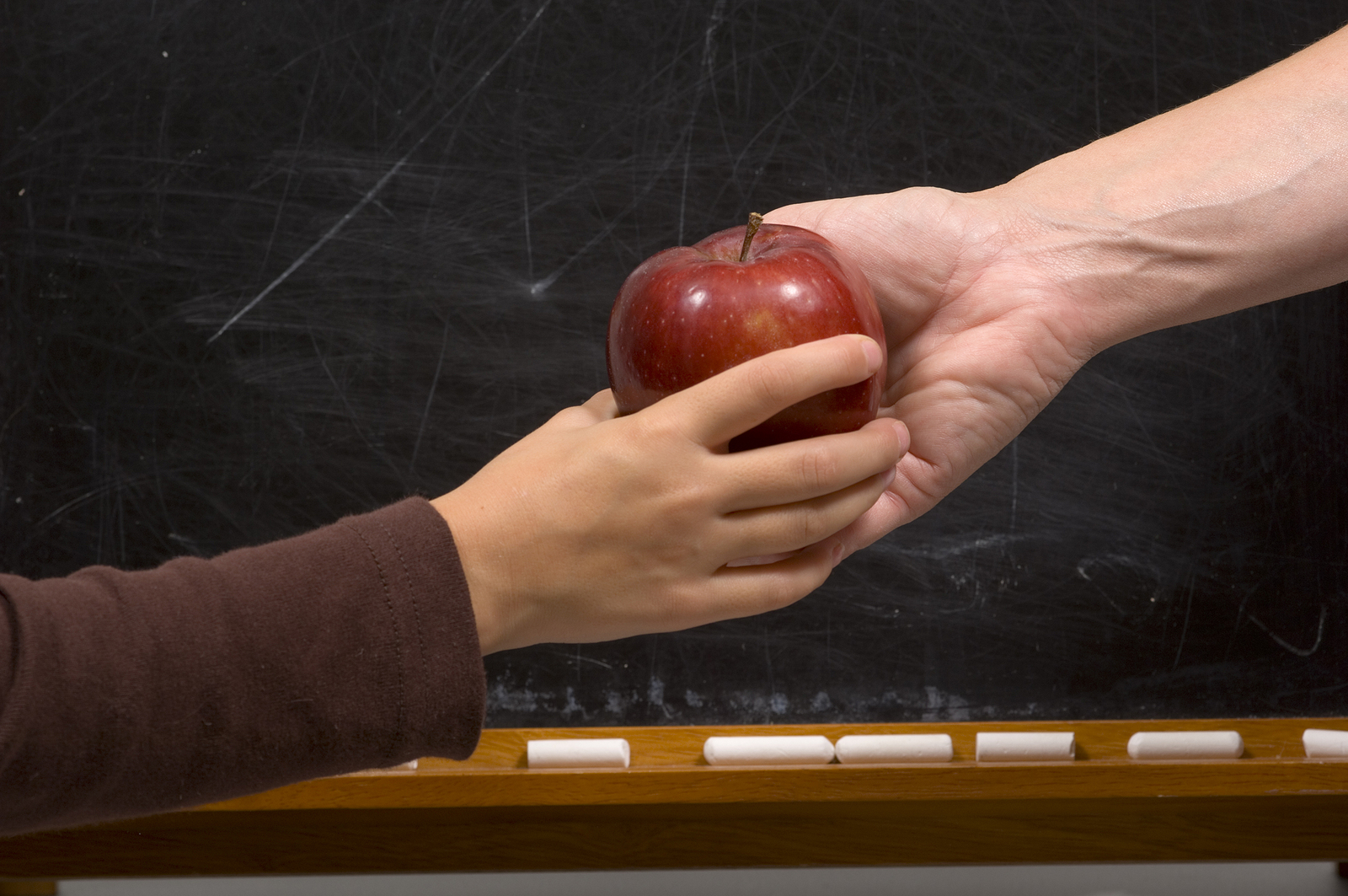 Stock image. blackboard in background. a child's hand and an adult's hand meet in the middle both holding a single red apple. There is also chalk in the chalk tray.